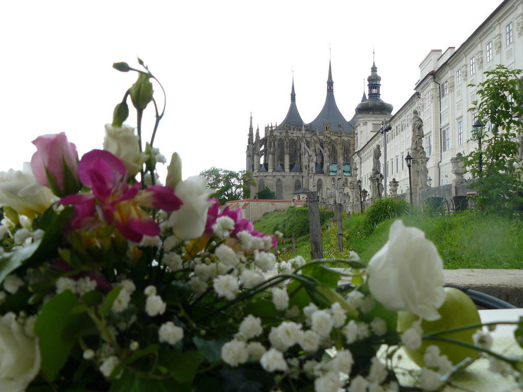 Hotel Vila U Varhanare à Kutná Hora Extérieur photo